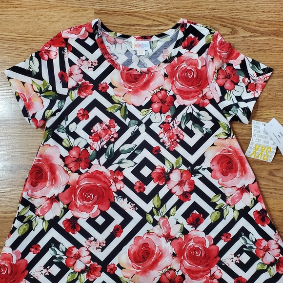 LuLaRoe Dresses & Skirts - XXS Lularoe Jessie dress with pockets, roses
